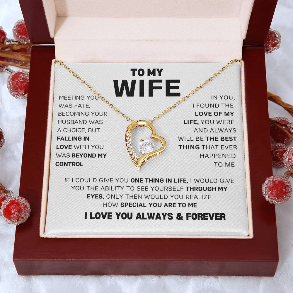 To My Wife | The Love of My Life | Meeting You Was Fate | Eternal Love Necklace